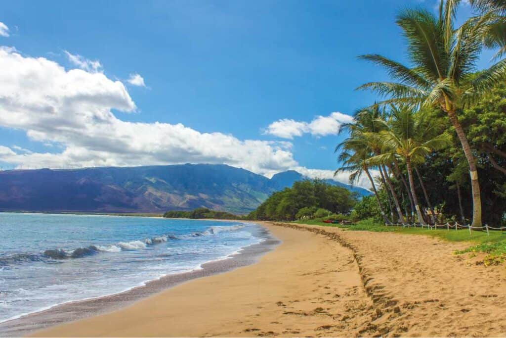 Surfing in Maui guide